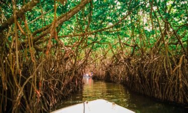 boat ride in madu ganga