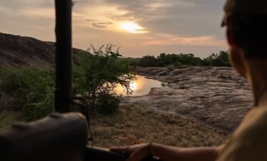 yala national park safari, Sri Lanka tours