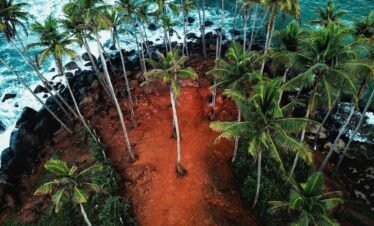 sri lanka tours at Coconut tree hill in mirissa