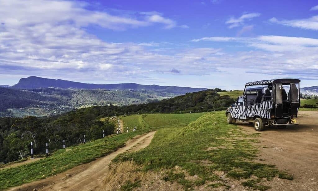 mountain safari tours